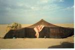 54 tenda beduina.jpg